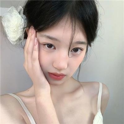 虎尾兰之梦